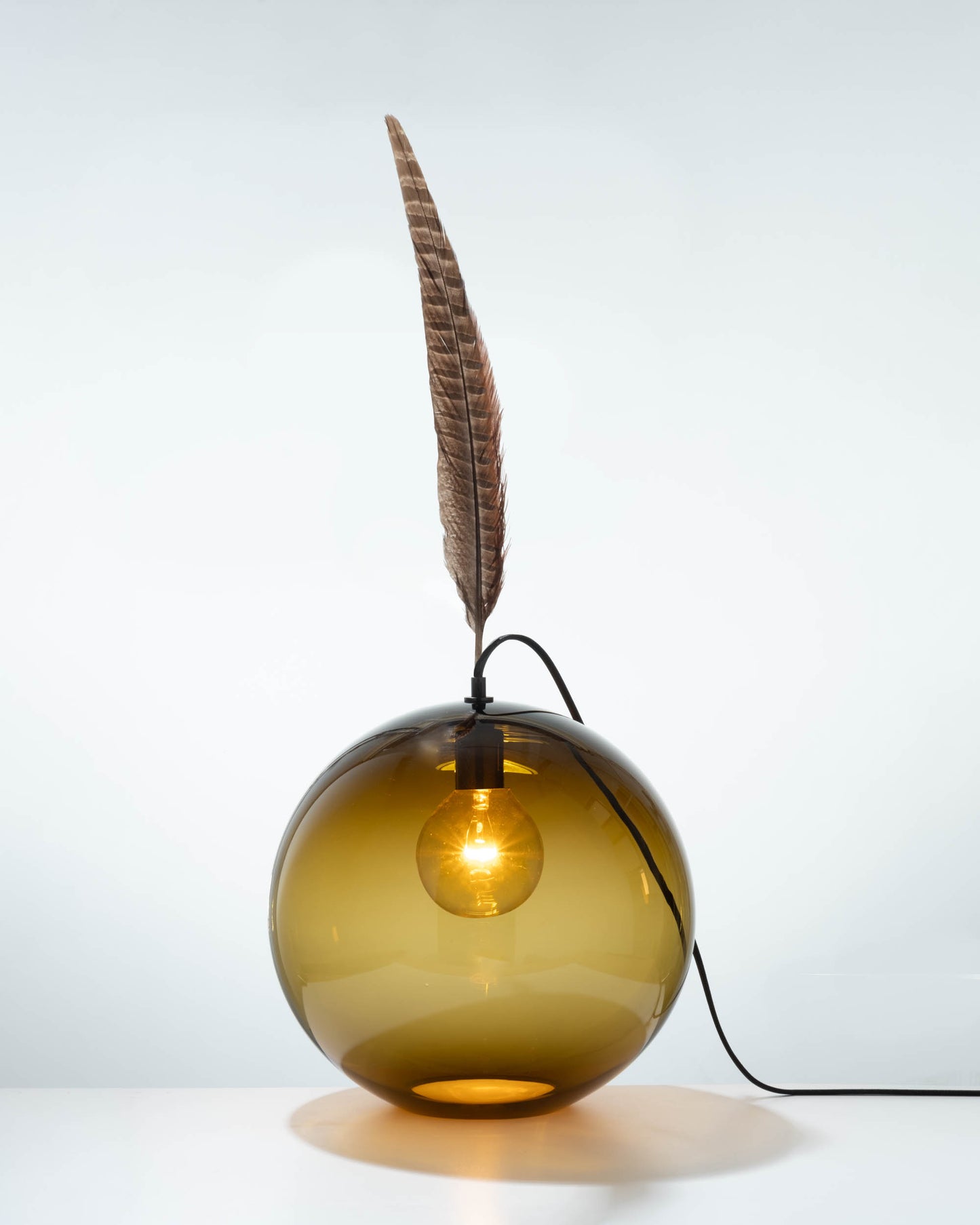 Brown Feather 14
