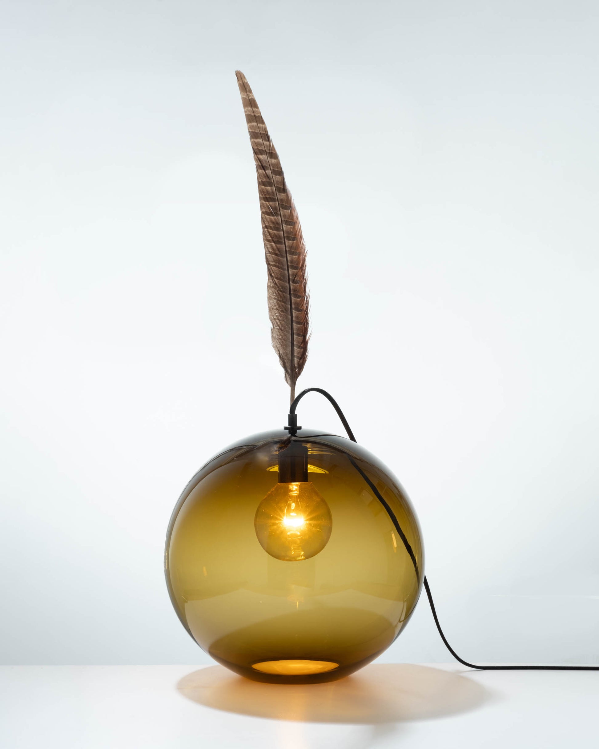 Brown Feather 14