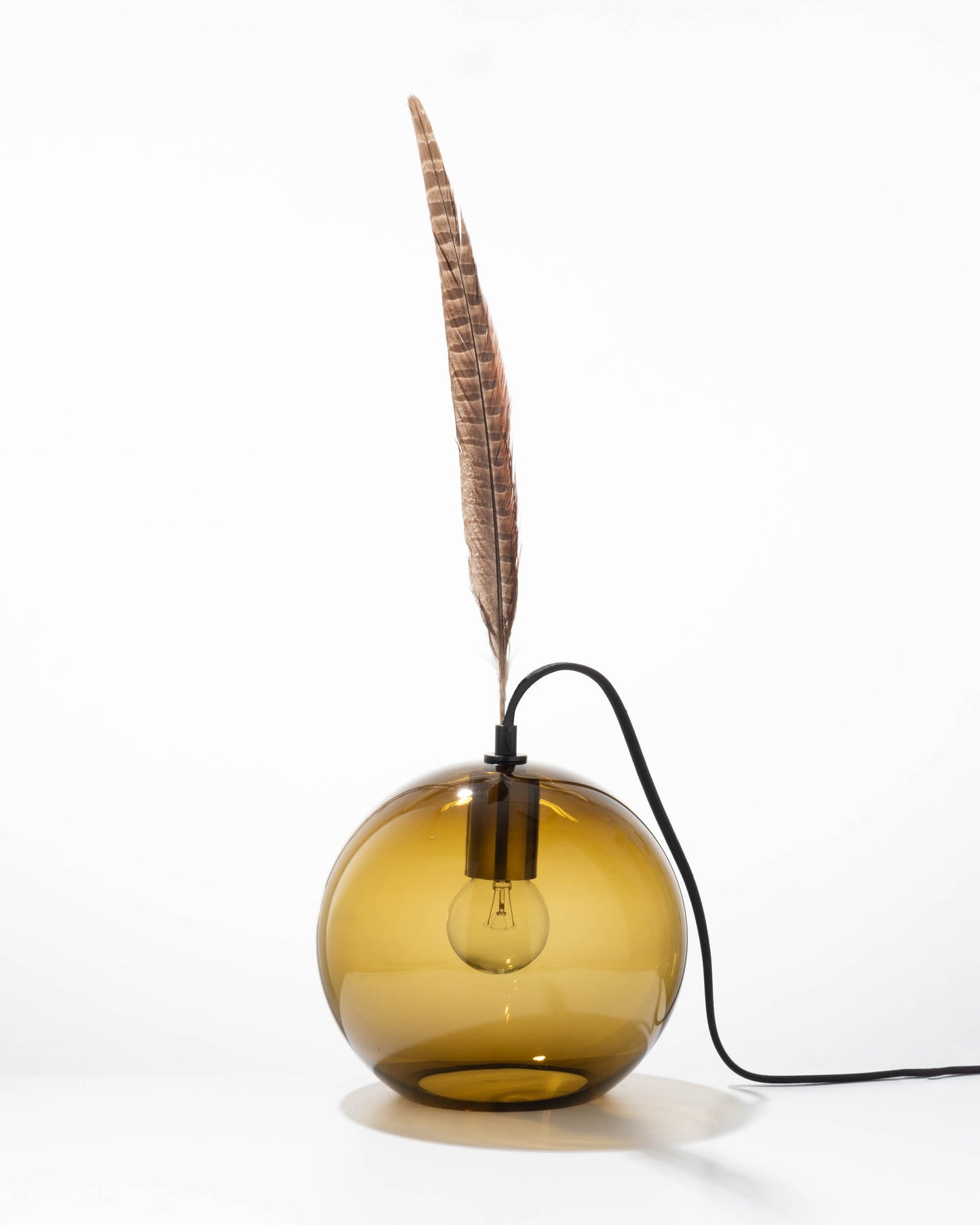 Brown Feather 8
