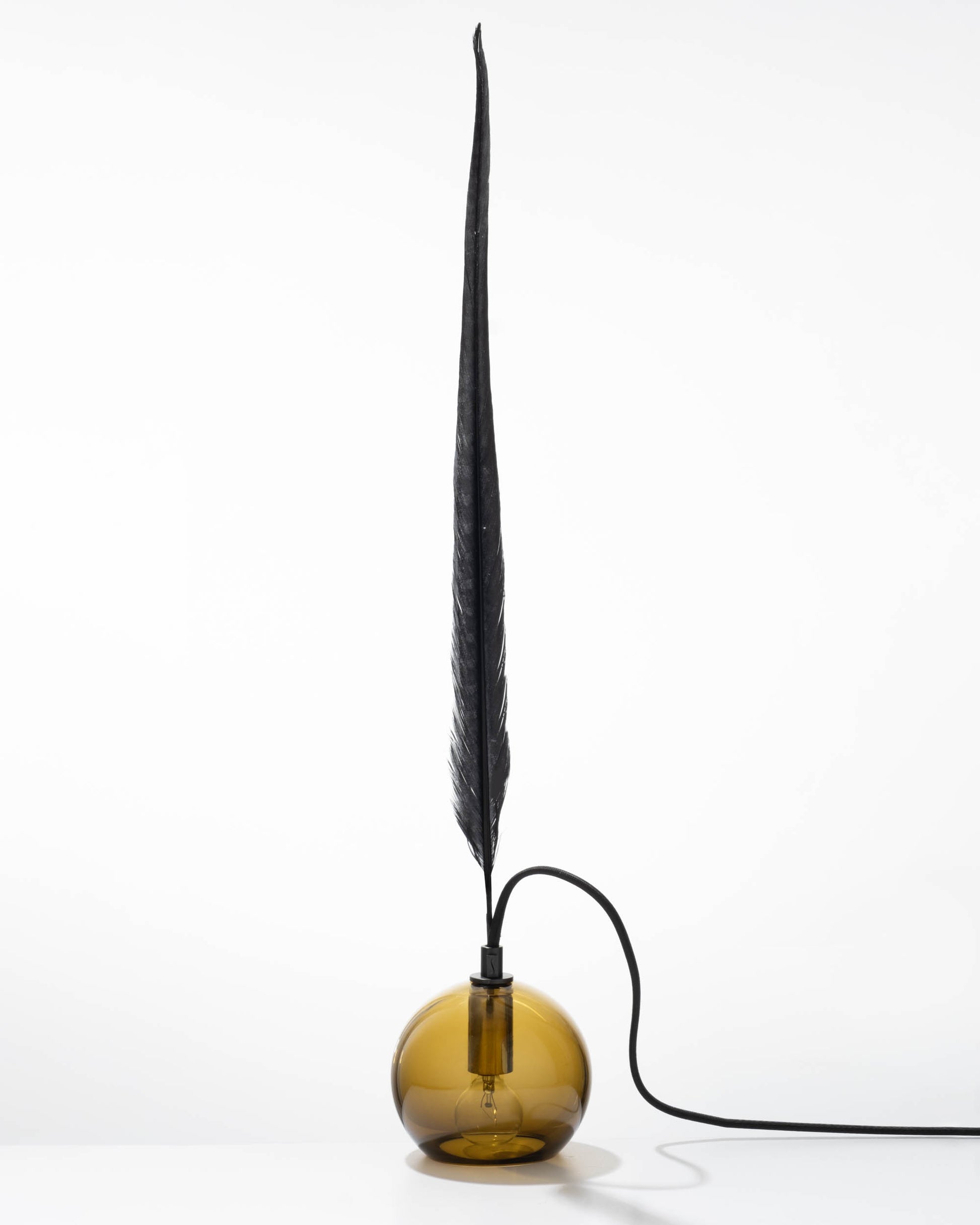 Black Feather 4.5