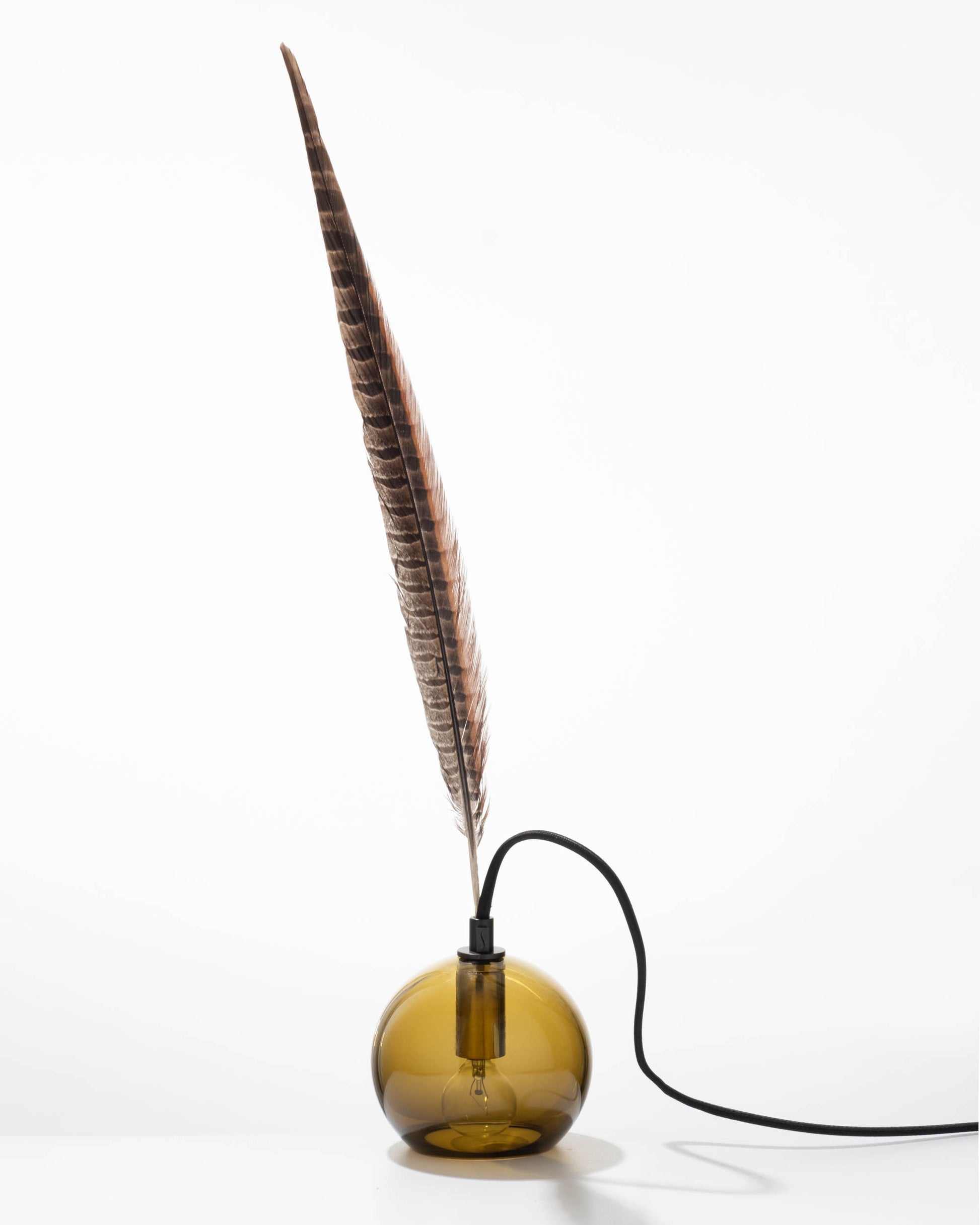 Brown Feather 4.5
