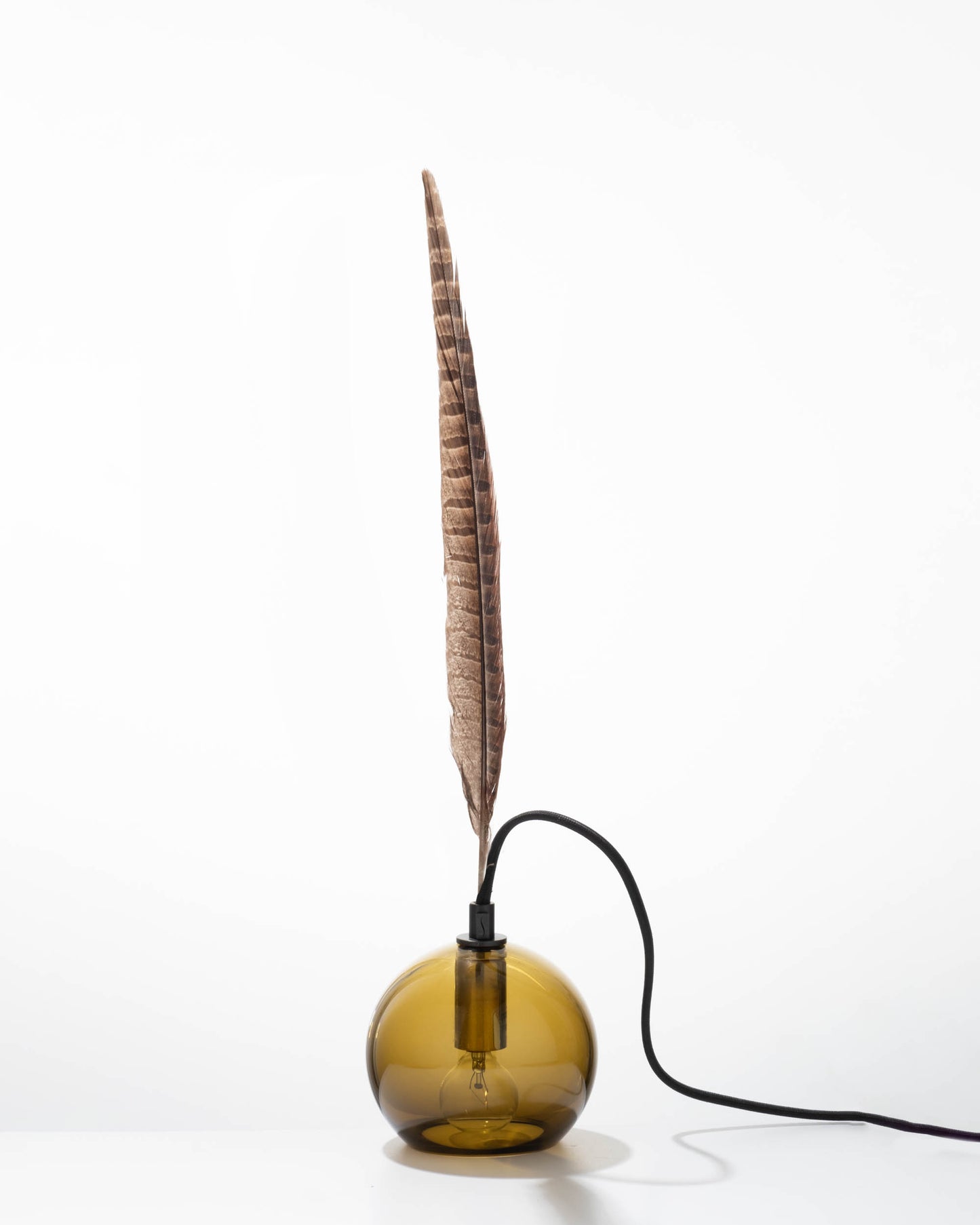 Brown Feather 4.5