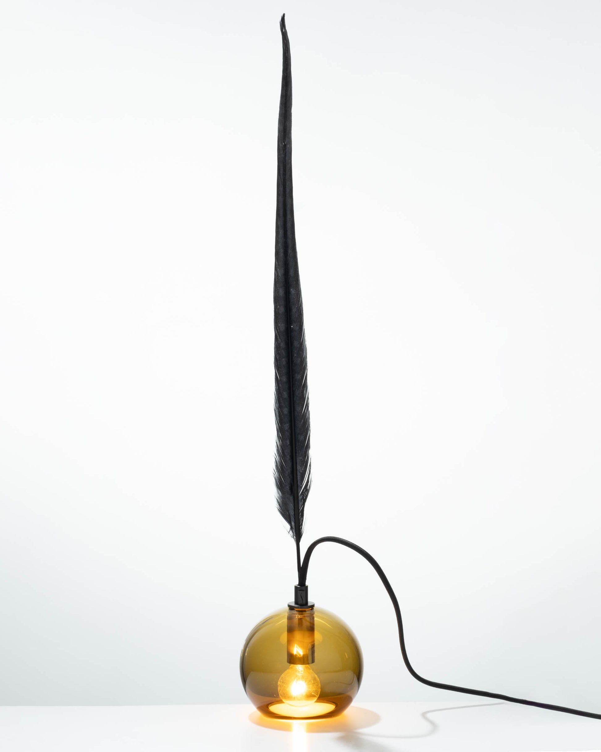Black Feather 4.5